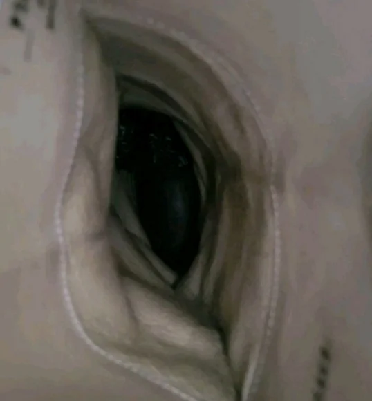 FRYE Melissa Button Distress Tan Brown Leather Ride Pull On Boot Equestrian 9.5 - Picture 8 of 16